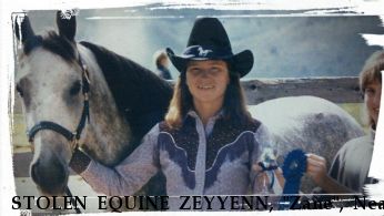 STOLEN EQUINE ZEYYENN, "Zane", Near CLARKSVILLE, IA, 50619